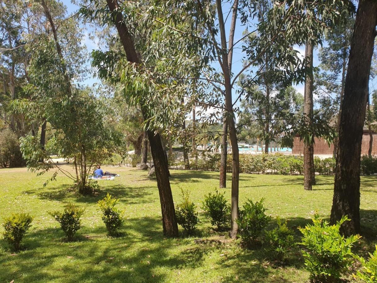 Punta Del Este, Forest Lagoon, Luxury Eksteriør bilde